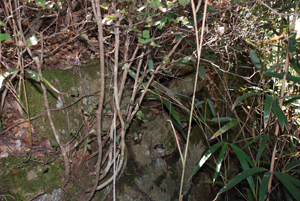 わずかに残る城の石垣（東の峰）